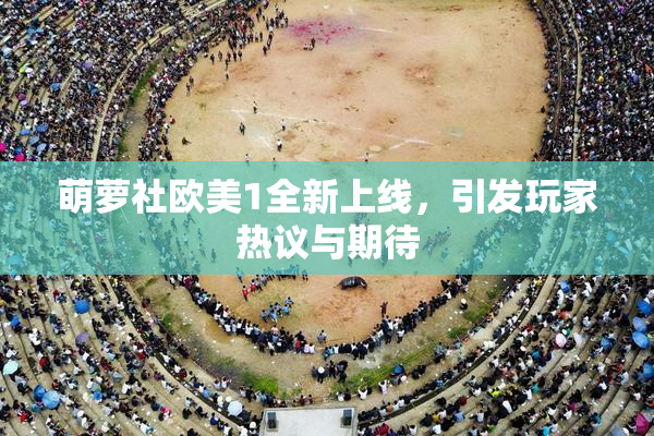 萌萝社欧美1全新上线，引发玩家热议与期待