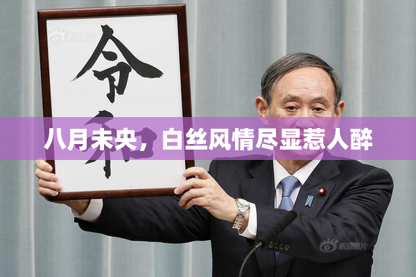 八月未央，白丝风情尽显惹人醉