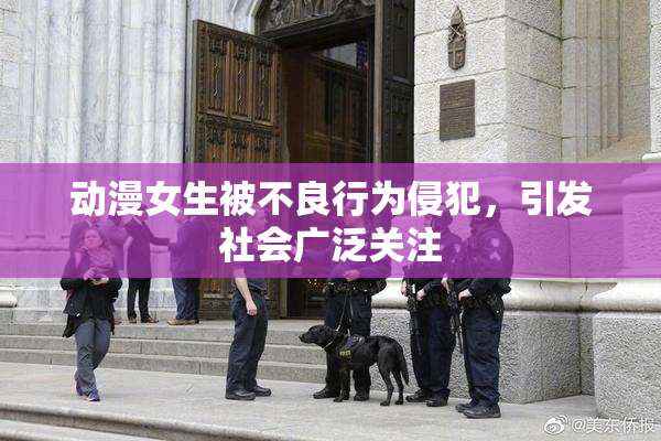动漫女生被不良行为侵犯，引发社会广泛关注