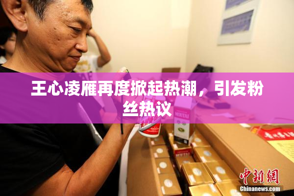王心凌雁再度掀起热潮，引发粉丝热议