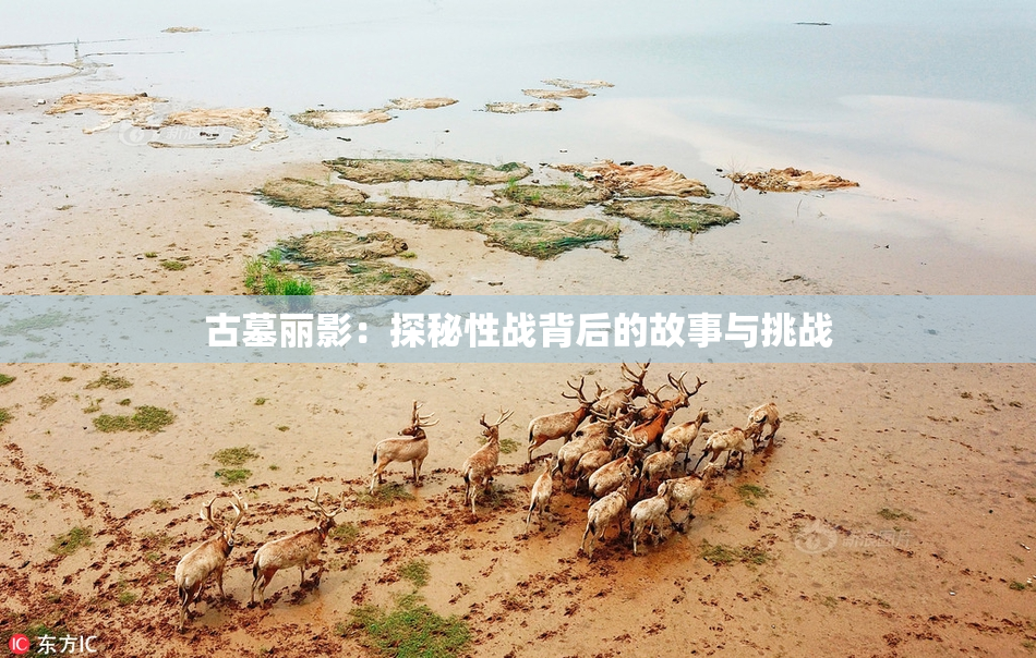 古墓丽影：探秘性战背后的故事与挑战