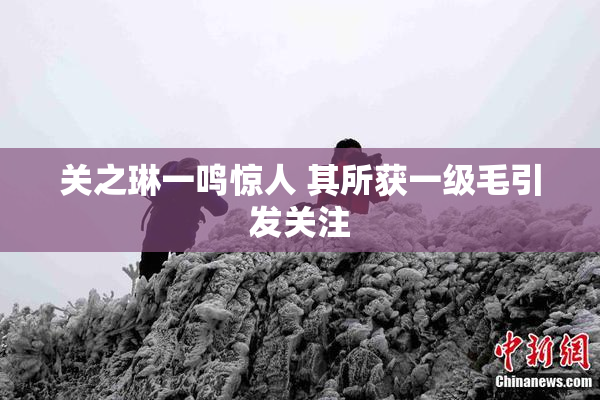 关之琳一鸣惊人 其所获一级毛引发关注