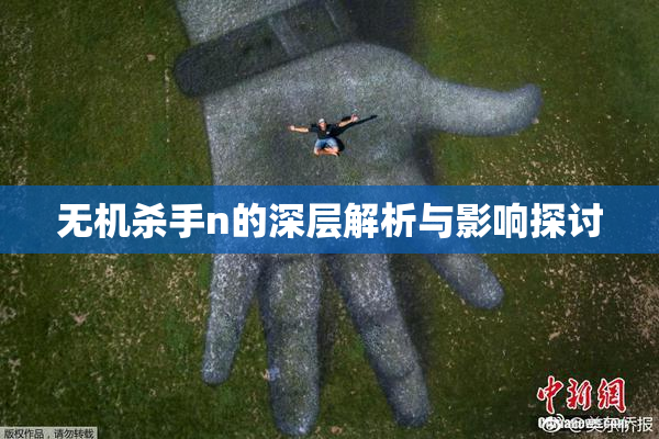 无机杀手n的深层解析与影响探讨