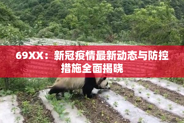 69ΧΧ：新冠疫情最新动态与防控措施全面揭晓