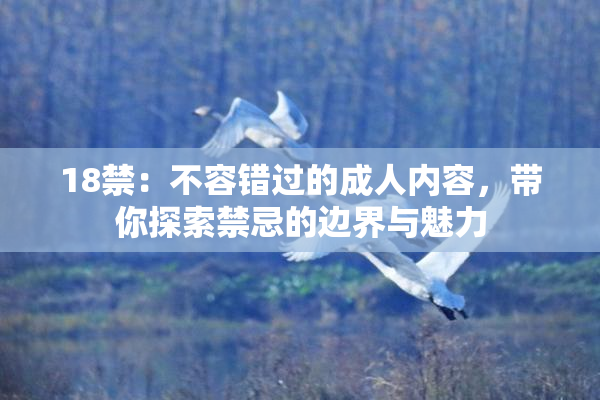 18禁：不容错过的成人内容，带你探索禁忌的边界与魅力