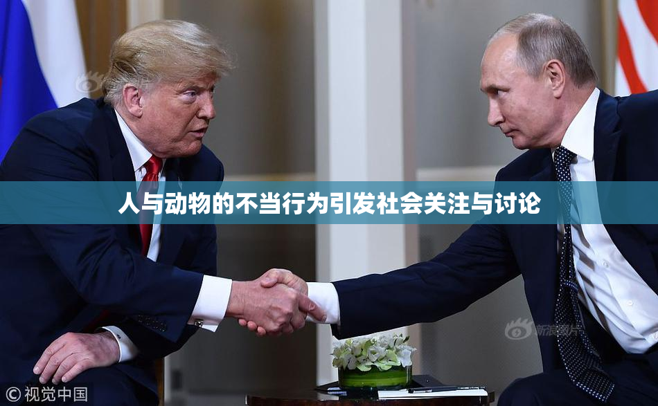 人与动物的不当行为引发社会关注与讨论