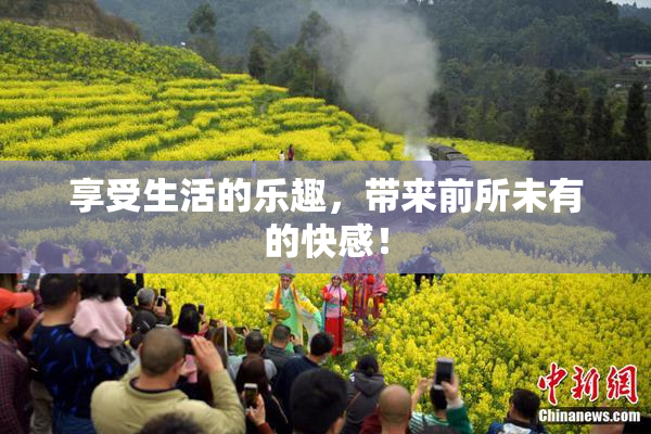 享受生活的乐趣，带来前所未有的快感！