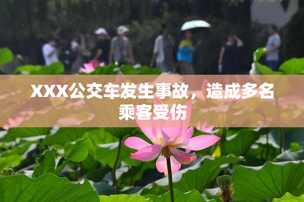 XXX公交车发生事故，造成多名乘客受伤