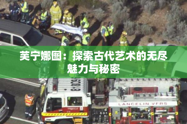 芙宁娜图：探索古代艺术的无尽魅力与秘密