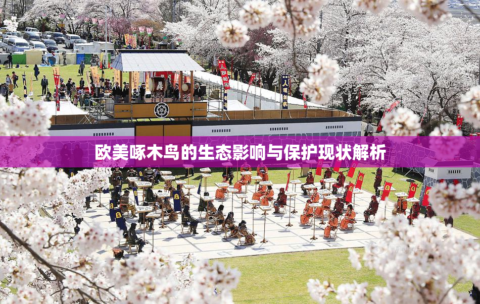欧美啄木鸟的生态影响与保护现状解析