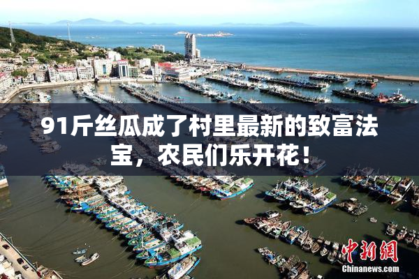 91斤丝瓜成了村里最新的致富法宝，农民们乐开花！