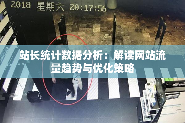 站长统计数据分析：解读网站流量趋势与优化策略