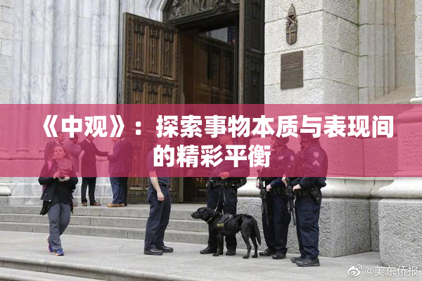 《中观》：探索事物本质与表现间的精彩平衡