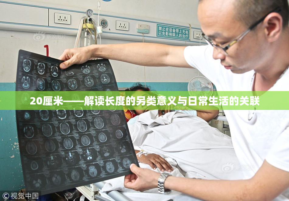 20厘米——解读长度的另类意义与日常生活的关联