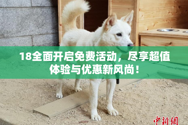 18全面开启免费活动，尽享超值体验与优惠新风尚！