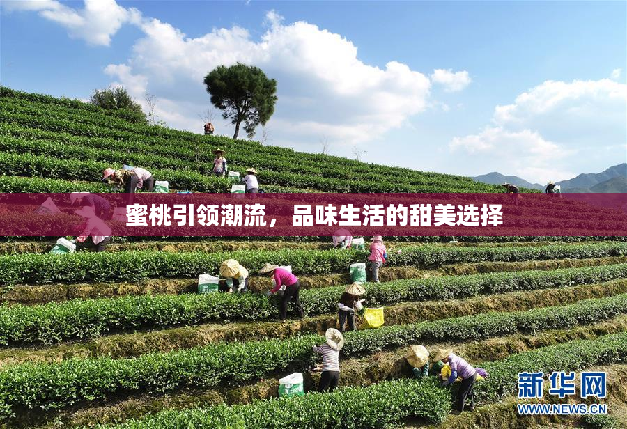 蜜桃引领潮流，品味生活的甜美选择