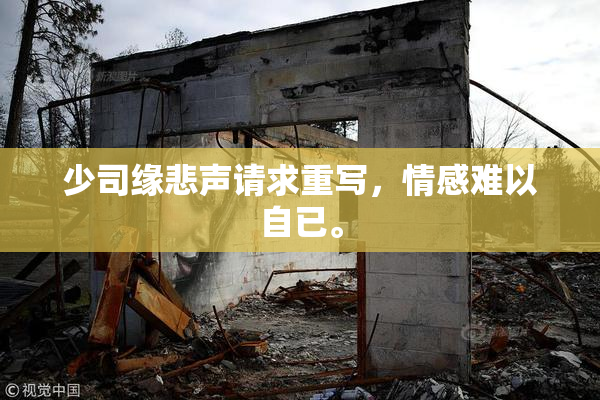 少司缘悲声请求重写，情感难以自已。