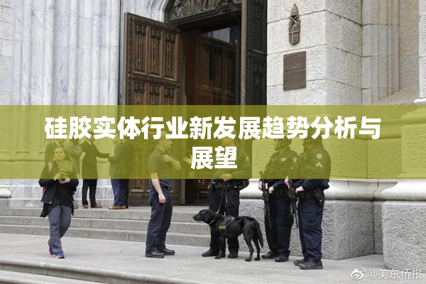 硅胶实体行业新发展趋势分析与展望