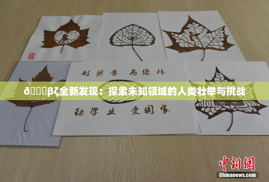 👙βζ全新发现：探索未知领域的人类壮举与挑战