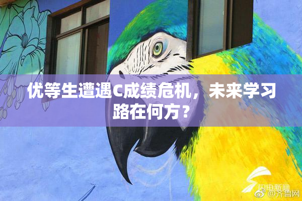 优等生遭遇C成绩危机，未来学习路在何方？