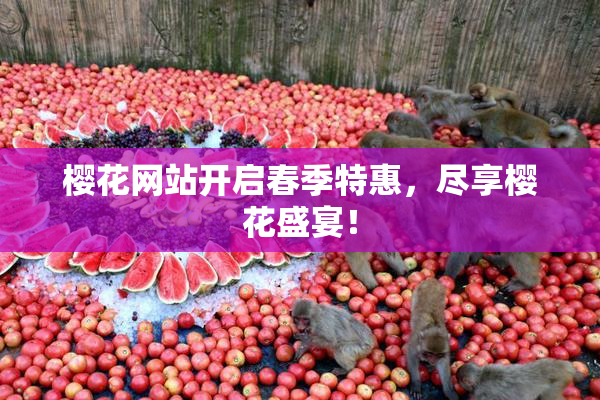 樱花网站开启春季特惠，尽享樱花盛宴！