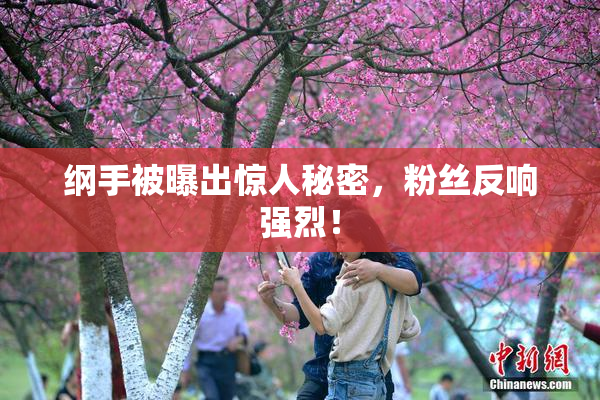 纲手被曝出惊人秘密，粉丝反响强烈！