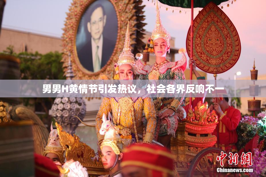 男男H黄情节引发热议，社会各界反响不一