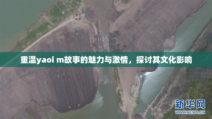 重温yaoi m故事的魅力与激情，探讨其文化影响