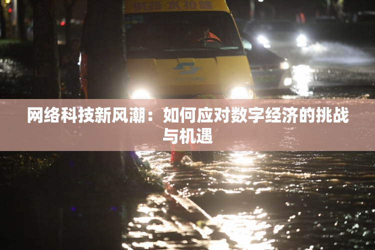 网络科技新风潮：如何应对数字经济的挑战与机遇