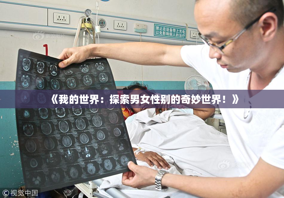 《我的世界：探索男女性别的奇妙世界！》