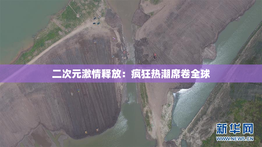 二次元激情释放：疯狂热潮席卷全球