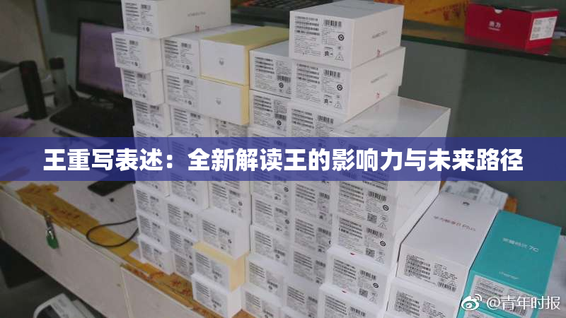 王重写表述：全新解读王的影响力与未来路径