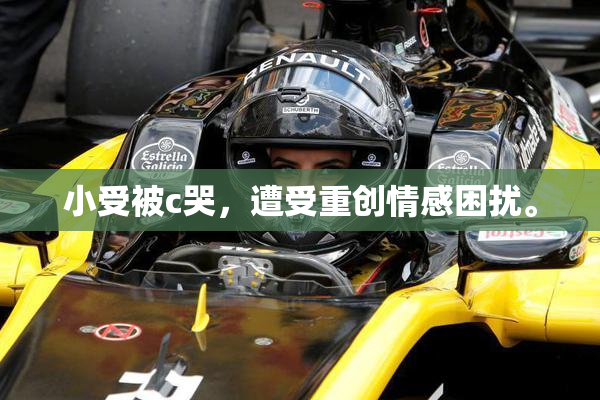 小受被c哭，遭受重创情感困扰。