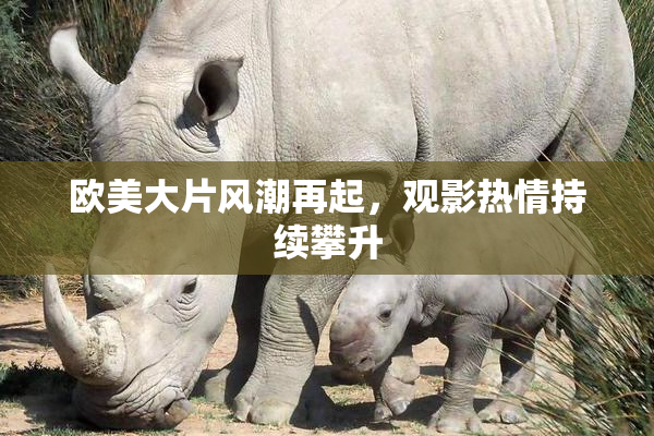 欧美大片风潮再起，观影热情持续攀升