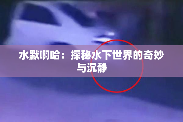 水默啊哈：探秘水下世界的奇妙与沉静