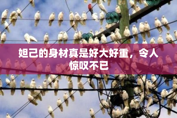 妲己的身材真是好大好重，令人惊叹不已