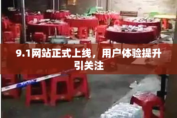 9.1网站正式上线，用户体验提升引关注