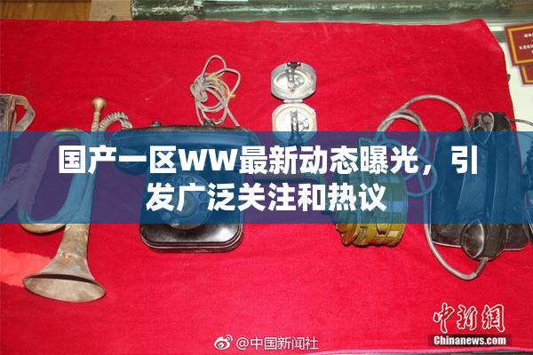 国产一区WW最新动态曝光，引发广泛关注和热议