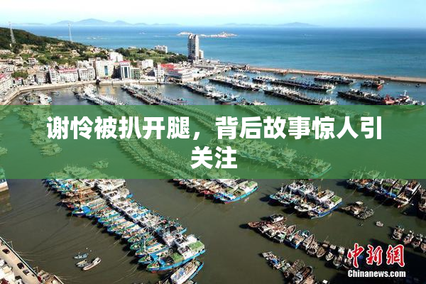 谢怜被扒开腿，背后故事惊人引关注