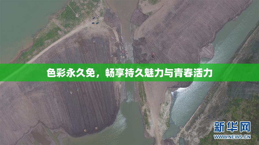 色彩永久免，畅享持久魅力与青春活力