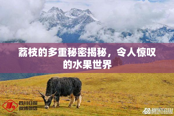 荔枝的多重秘密揭秘，令人惊叹的水果世界