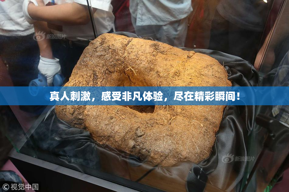 真人刺激，感受非凡体验，尽在精彩瞬间！