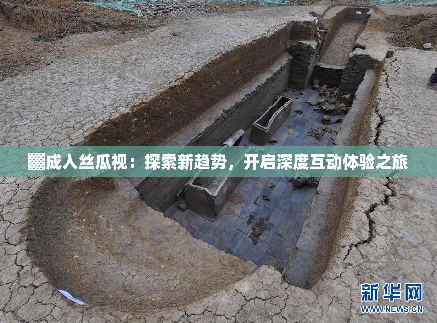 ▓成人丝瓜视：探索新趋势，开启深度互动体验之旅