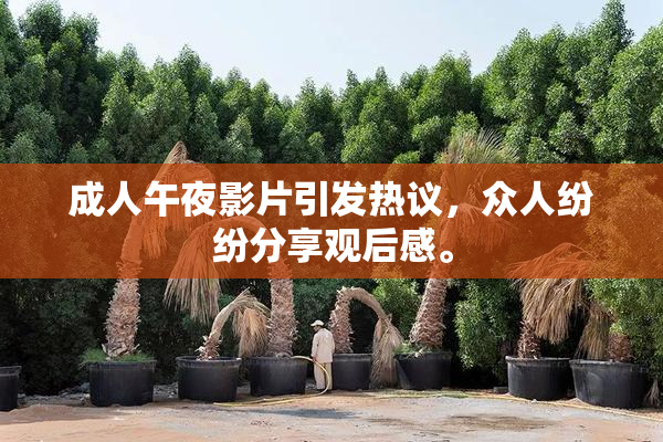 成人午夜影片引发热议，众人纷纷分享观后感。