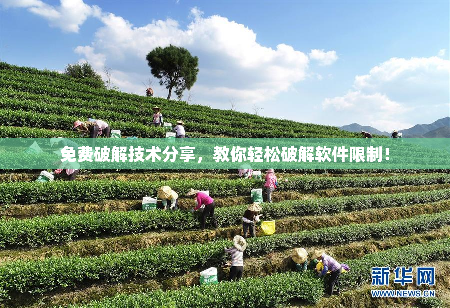 免费破解技术分享，教你轻松破解软件限制！