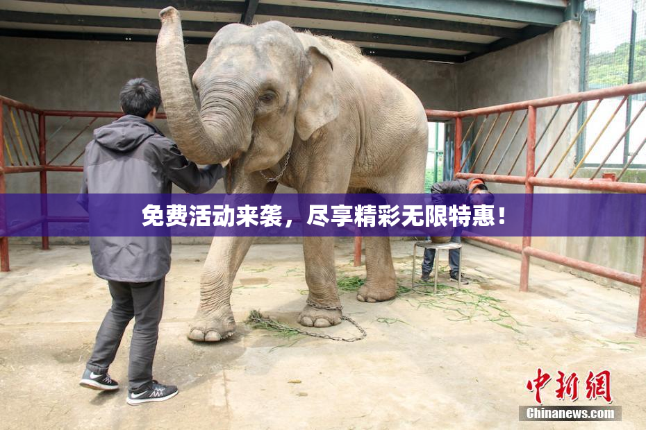 免费活动来袭，尽享精彩无限特惠！
