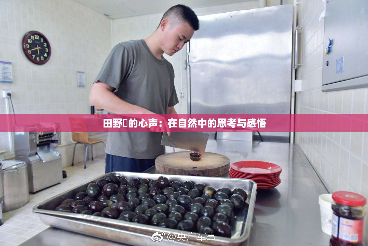 田野憂的心声：在自然中的思考与感悟