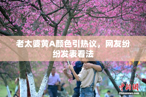老太婆黄A颜色引热议，网友纷纷发表看法