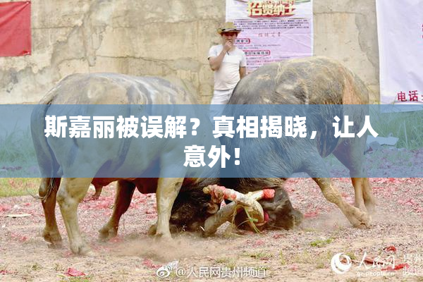 斯嘉丽被误解？真相揭晓，让人意外！