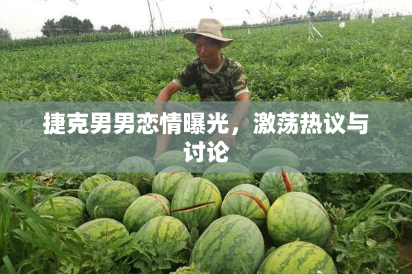 捷克男男恋情曝光，激荡热议与讨论